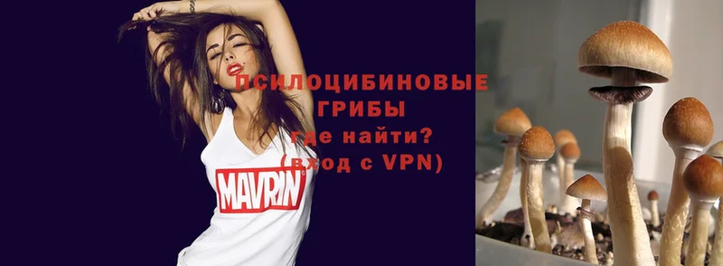 Хочу наркоту Новокузнецк A-PVP  Кокаин  ГАШ  АМФ  Канабис 